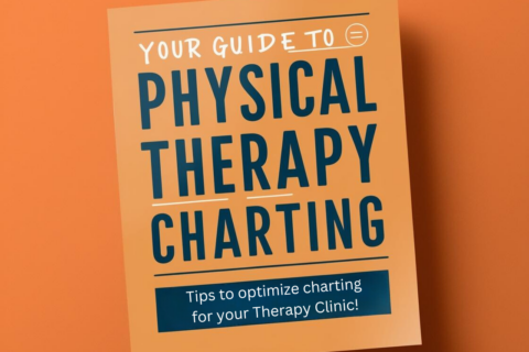 Your Guide to PT Charting